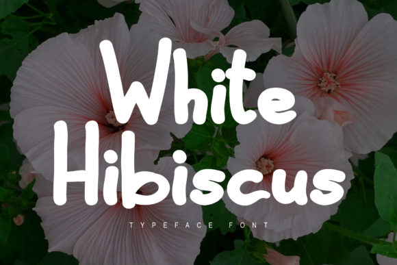 White Hibiscus Font Review: Versatility for Modern Design Projects